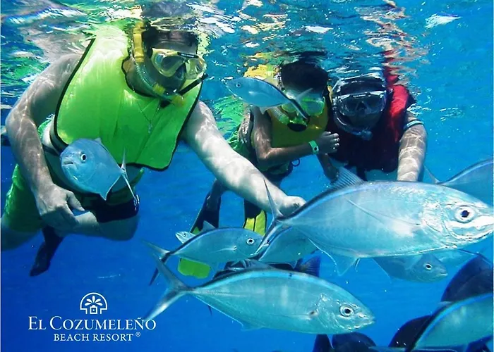 Resort El Cozumeleño -